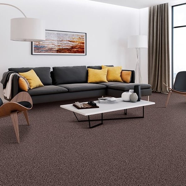 Carpet trends in Lebanon, PA from Martin's Floor Coverings