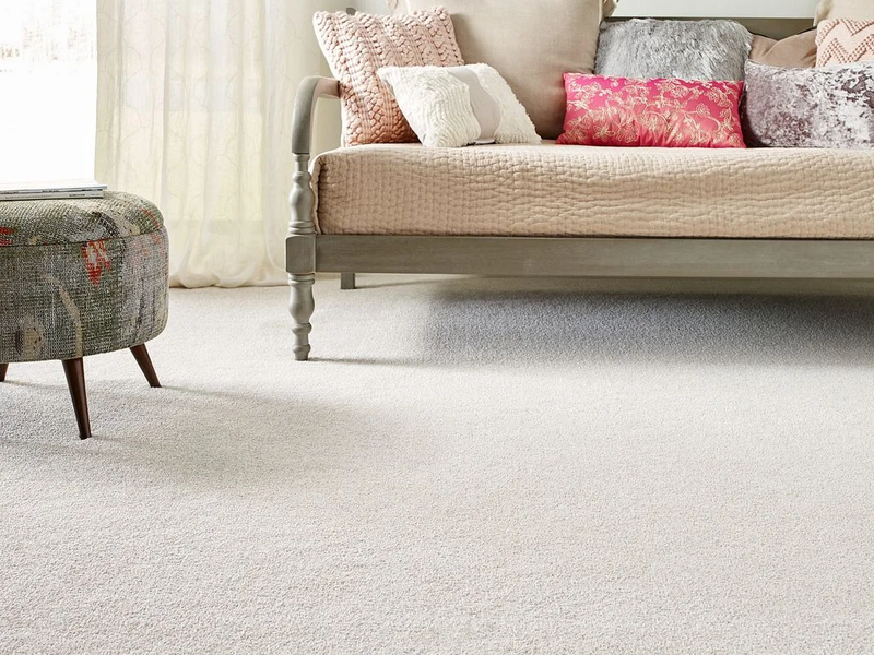 Tonal comfort - Anso Colorwall Carpet in Myerstown, PA