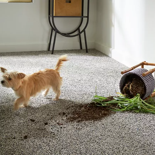 Sustainable Difference - PETPremier high-quality PET fiber