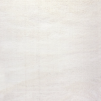 Dynamic Silky Shag Ivory 3'11x5'7 $199.99